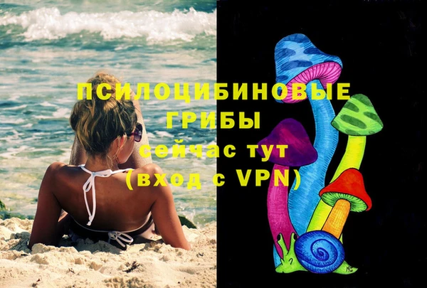 2c-b Алексин