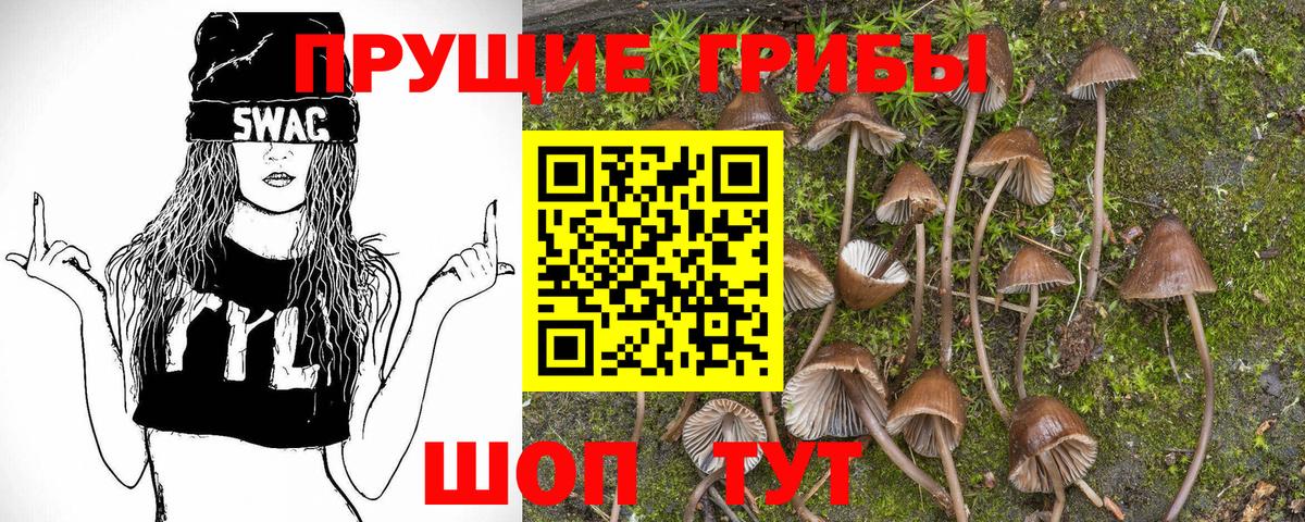 Галлюциногенные грибы MAGIC MUSHROOMS  Вход с VPN  Советский 