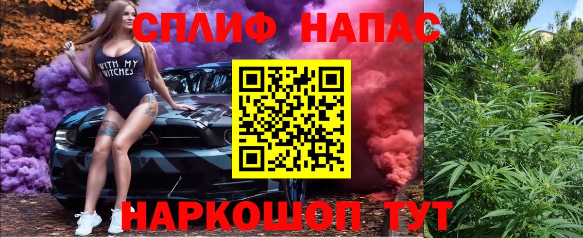 Бошки марихуана ГИДРОПОН  Канабис Bruce Banner  Канабис конопля  Вход с VPN  Советский 
